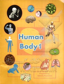 ‏‫‭The human body