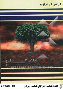 درختي در برهوت: مجموعه سروده هاي 1373 - 1370 (دفتر دوم)