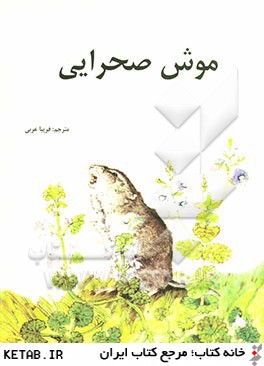 موش صحرايي