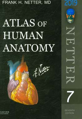 ‏‫‭ Atlas of human anatomy
